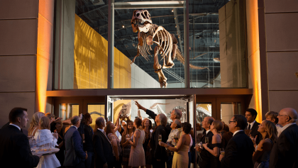 Science Museum Oklahoma hosts adults-only dinosaur night with hands-on fun