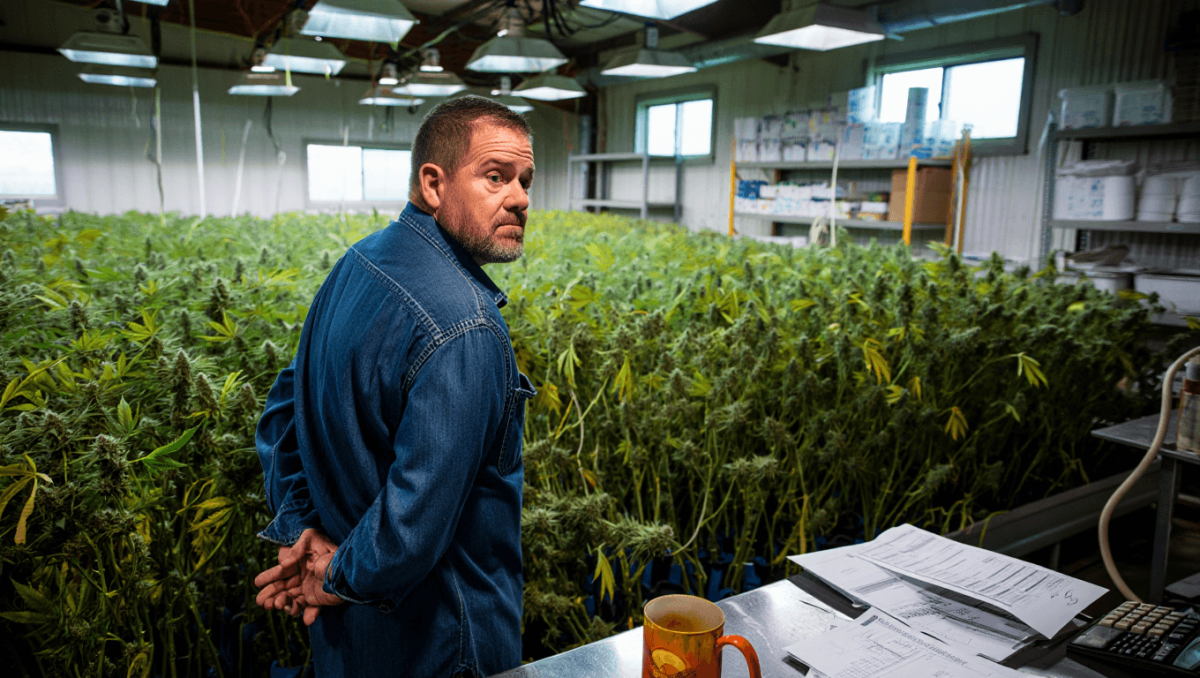Dramatic shifts in Oklahoma's cannabis industry leaves growers struggling