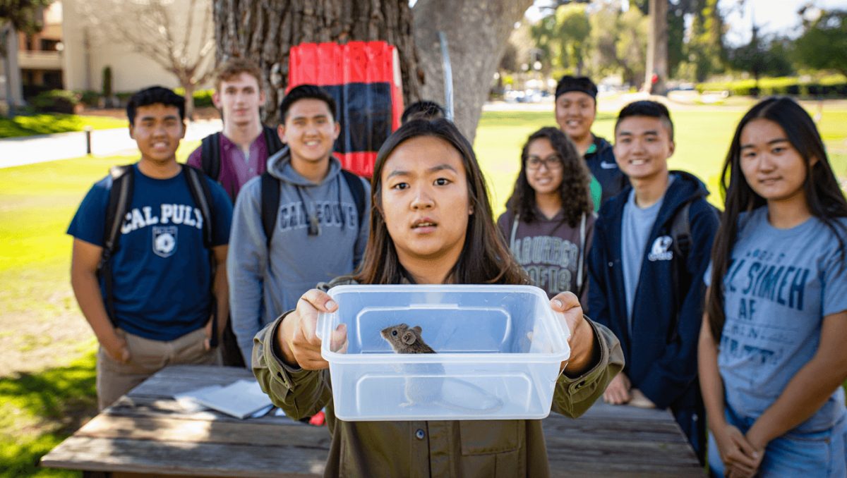 ‘We need to work as a community’: Students call for pest control changes