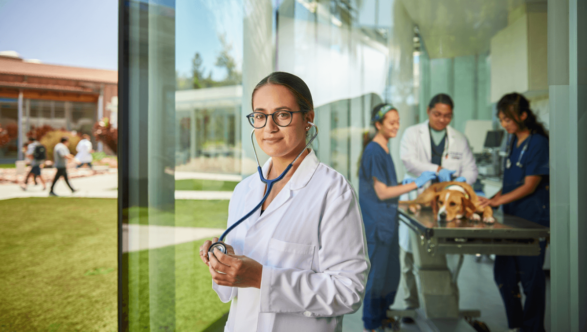 Cal Poly to open new animal health center for hands-on learning and research this fall