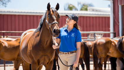 Born for this: inside Cal Poly’s quarter horse enterprise sale