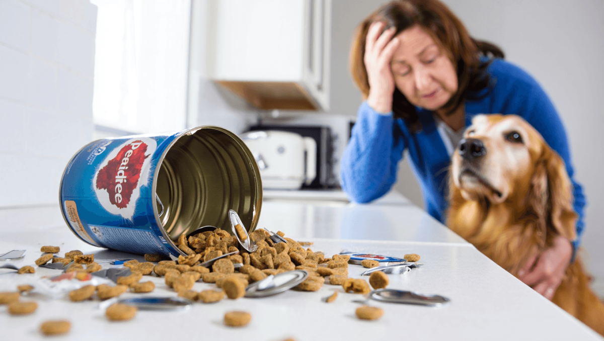 Pedigree recalls dog food over sharp metal and plastic pieces