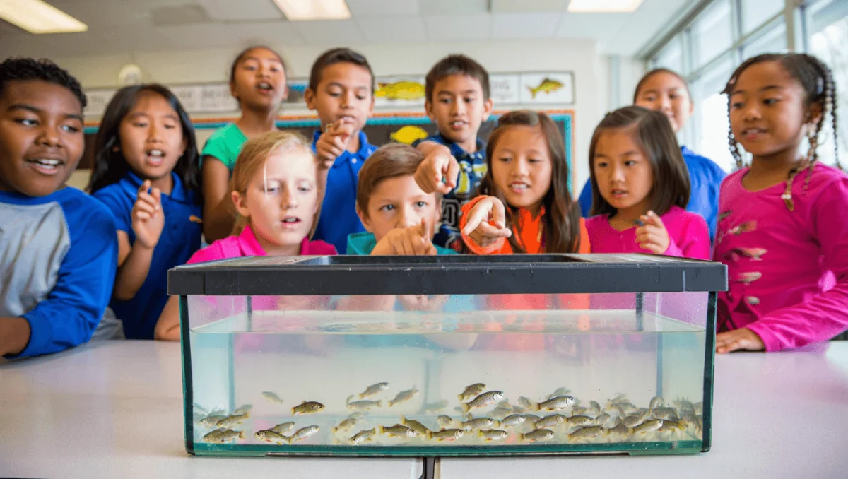 Trout in the Classroom program gives Oklahoma students hands-on conservation lessons