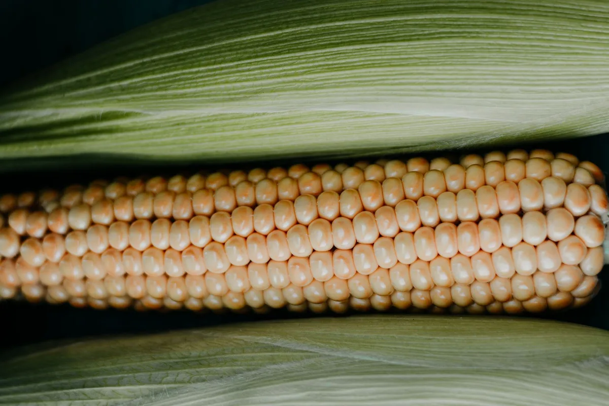 Bright yellow corn kernels glistening with butter and fresh lime juice in a warm bowl