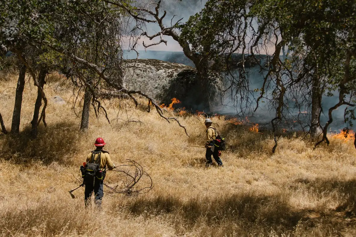 Firefighters establishing control lines to contain wildfire in dry vegetation near residential area