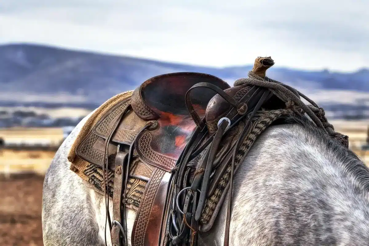Rodeo competitor performing saddle bronc riding during an evening performance.