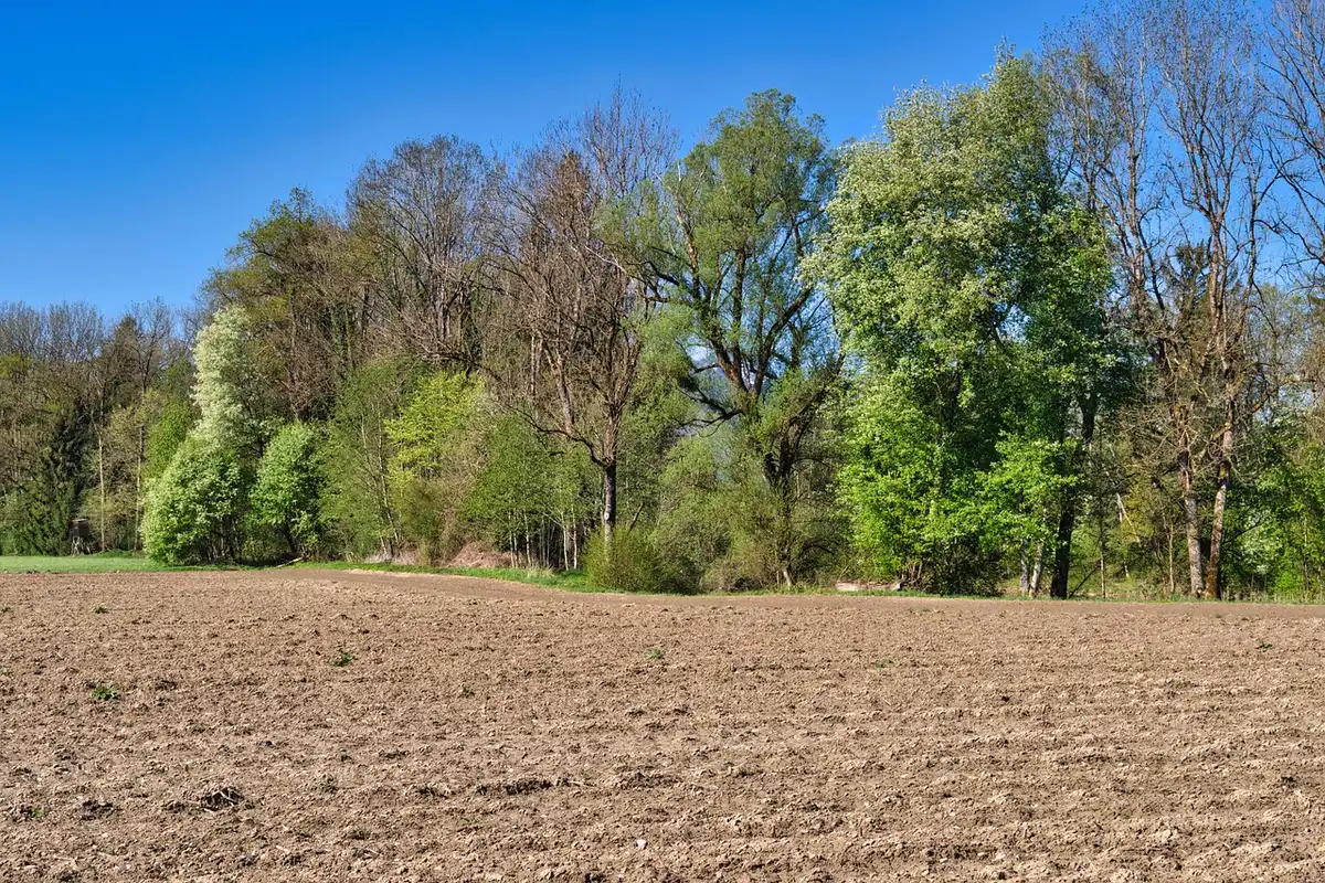 Construction equipment and cleared land at town edge where developers buy lots