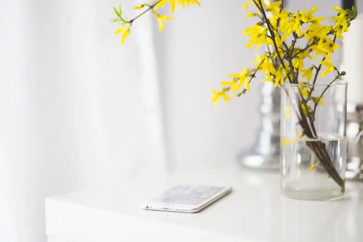 Smartphone screen showing parental control settings for app time limits